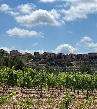 Catalonia's Organic Pasanau Vineyard Tour & Tasting
