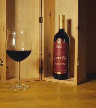 Weinprobe und Führung in der Azienda Agricola Biologica Sgaly Di Tommaso Sgalippa