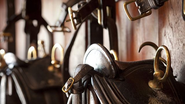 Bordeaux Equestrian & Barrel Tasting Journey