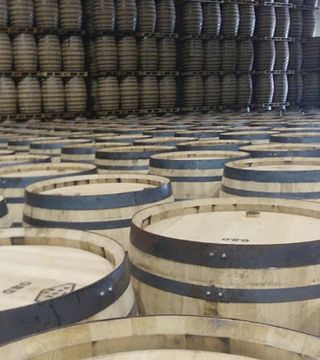 Young wines, Sherry Casks and Sherry Vinegars