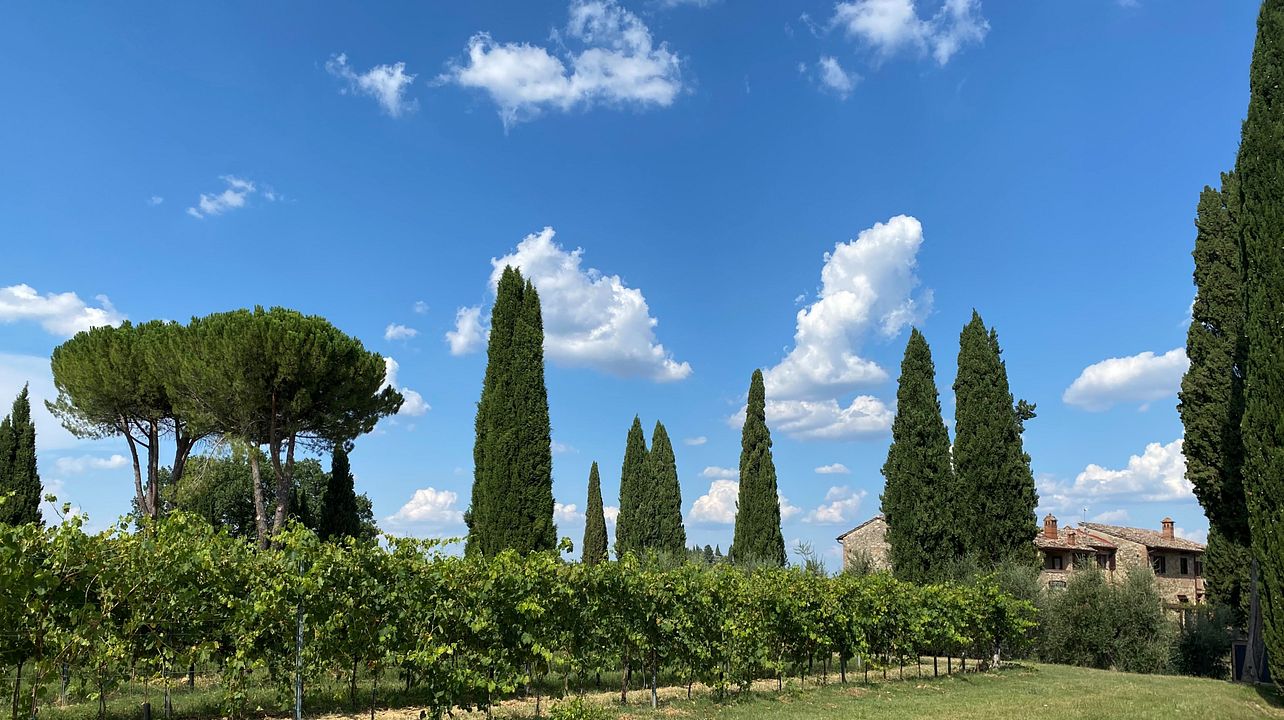 TENUTA SOVESTRO