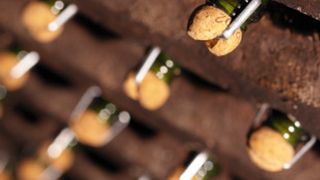 Visite et dégustation de vins à Cava Mestres