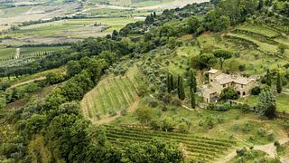 Visite des vignobles à Scopetone