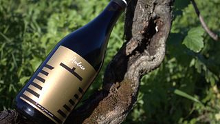 Château du Payre: A Legacy of Women in Winemaking