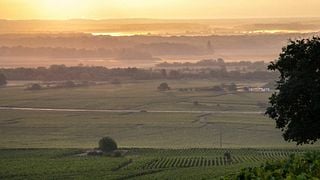 Domaine Cluny