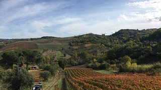 Mastroberardino Winery