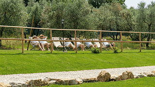Discover Tuscan Wines & Truffle Flavors near Florence