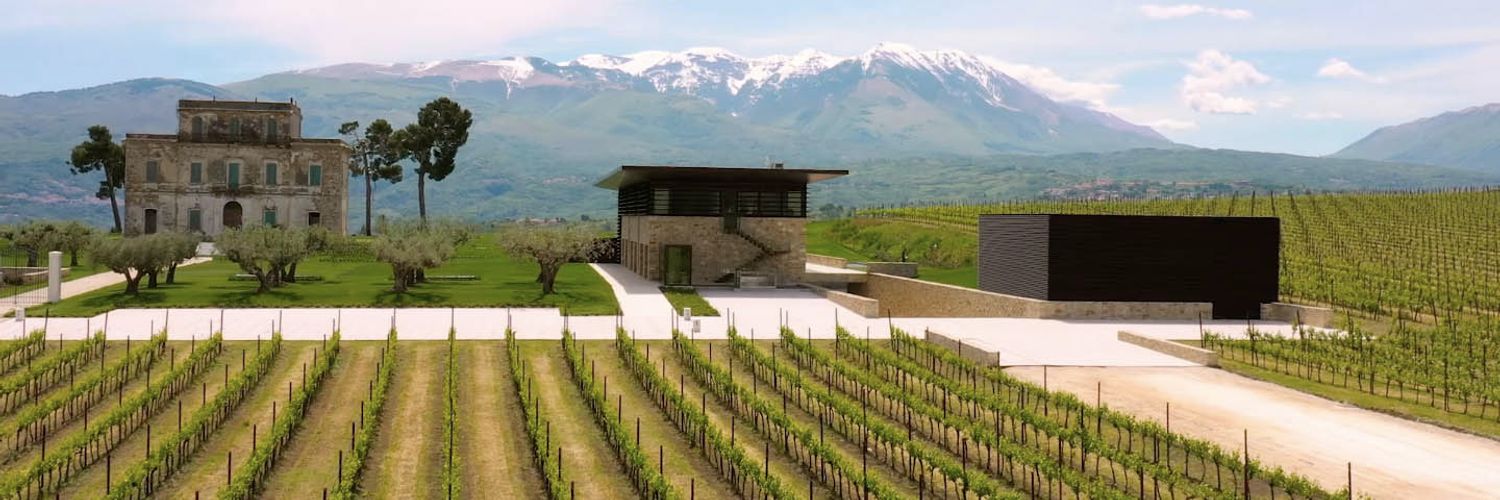 castorani - vineyard
