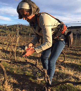 Domaine du Clos d‘Alari - Organic Wines in Provence
