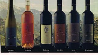 Weinprobe bei Altavia
