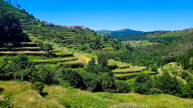 Sistelo et la vallée de Lima : circuit gastronomique et œnologique privé