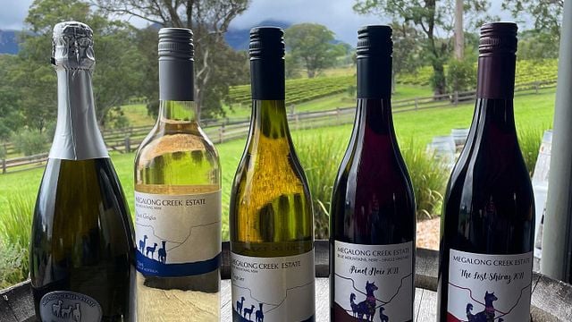 Degustação de vinhos no vinhedo Megalong Creek Estate