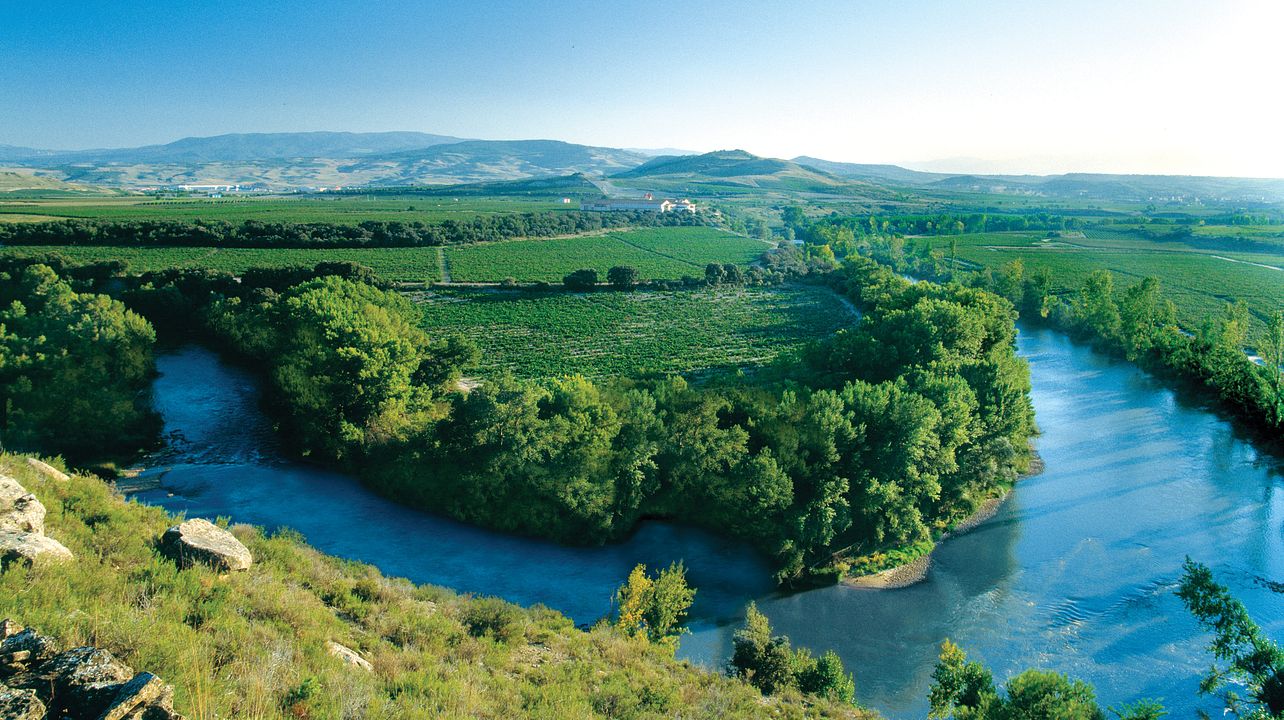 Finca Valpiedra