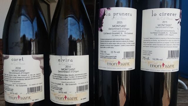 Degustação de vinhos e tour em Cal Bessó