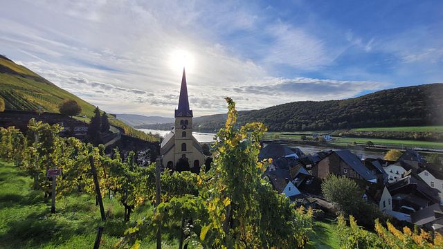 Weingut Selbach-Oster