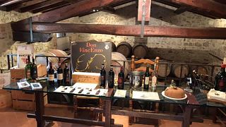 Casaloste: The Art of Winemaking in Chianti