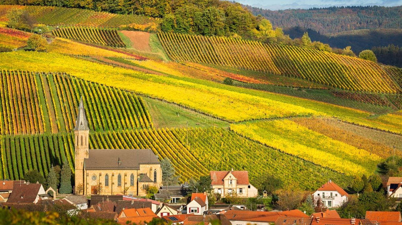 Exklusive Tour mit Weinprobe im Weinberg