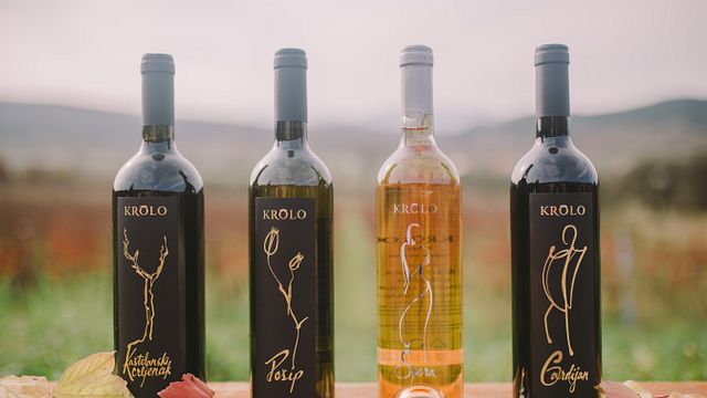 Cata clásica de vinos en la bodega Krolo 