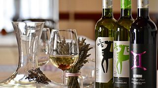 Degustação de Vinhos e Jantar no Ludányi Pince