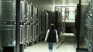 Upper Hungary Cellar Hunt & Wine Tasting