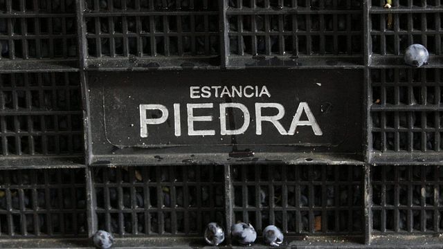 Bodega Estancia Piedra