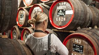 Excursão de dia inteiro ao vinho Madeira: dos vinhedos às adegas, vinhos da ilha