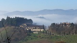 Taste Organic Marche Wines with Local Pairings