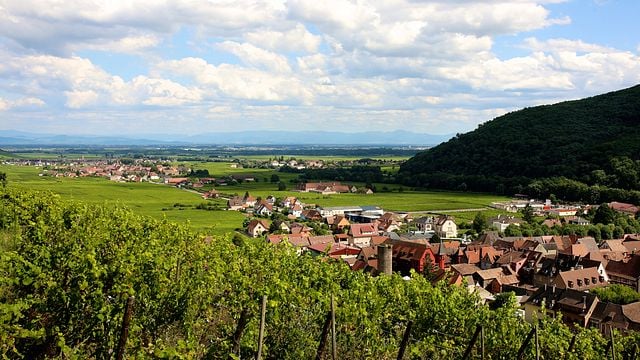 Dégustation et visite des vins du Domaine Jean-Louis Schoepfer
