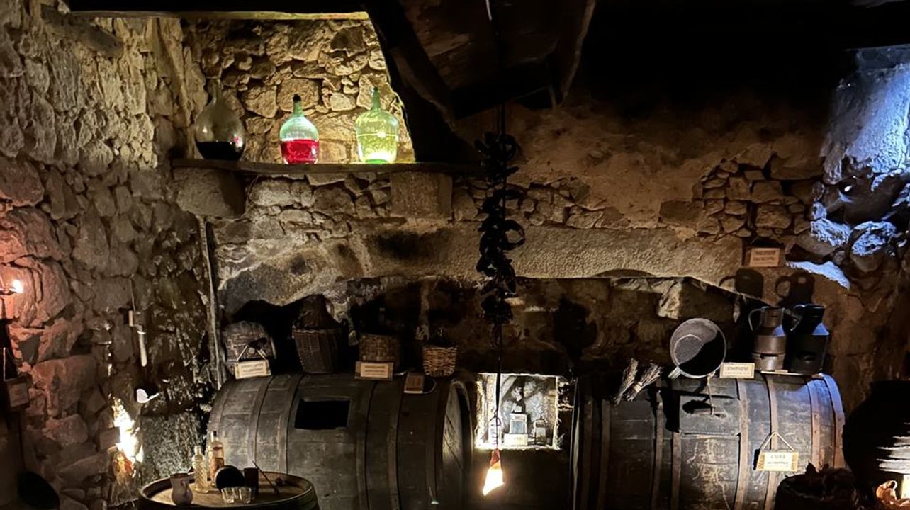 La Bodega Medieval: A Hidden Gem in San Martín del Castañar