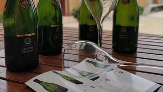 Degustação de champanhe e tour em Champagne Gratiot Delugny