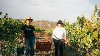 Monemvasia Winery - Tsimbidi