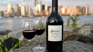 Dégustation de vins et visite chez Spoto Family Wines