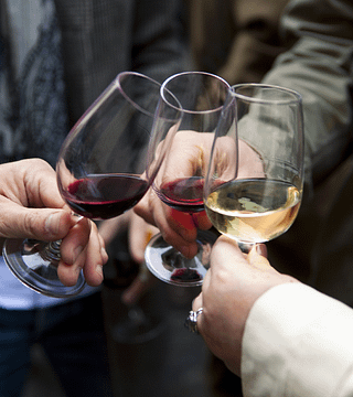 Vinprovning och rundtur på Bodegas Horola