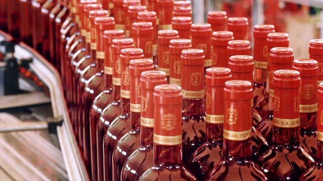 Dégustation de vins et visite des Bodegas Fernandez