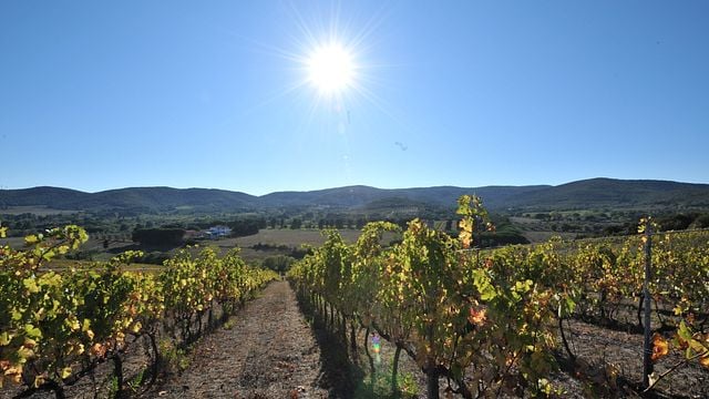 Sant'Agnese Winery