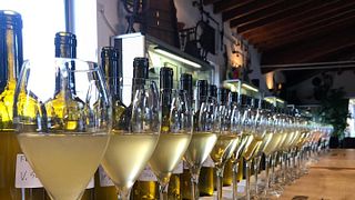 Degustação de vinhos clássicos e tour no Ricci Curbastro