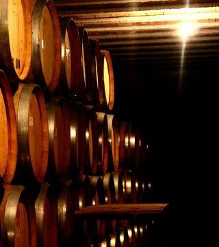Cata de vinos y visita guiada en bodegas, Co.