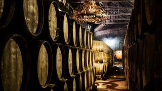 Dégustation et visite de 3 vins super premium au manoir José Maria Da Fonseca