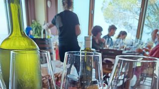 Entdeckung des Etna-Weins 