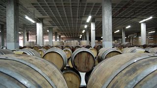 Degustação de vinhos com queijos e doces locais.