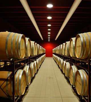 Degustazione di vini premium e pranzo al Castorani