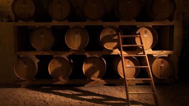 Castel di Salve Winery