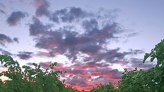Nuages dans la vigne | Dea-Rivelta