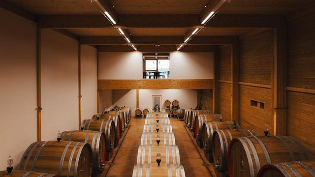 Degustazione dell'ultima annata di Tassi
