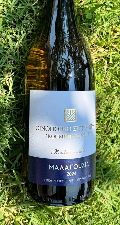 Malagouzia