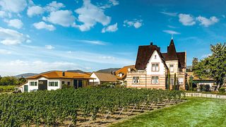 Dégustation de vins au Weingut Faubel