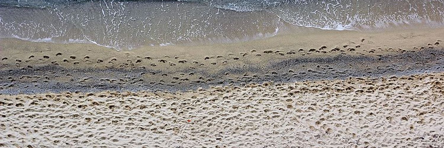 ddd1149d-beach-4510801__480_vhve0x