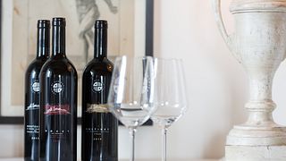 El taller completo del vino en Conti di San Bonifacio