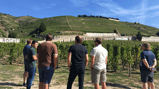 Valle del Rodano settentrionale: Hermitage, Crozes-Hermitage, Cornas