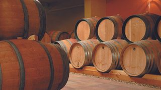 Degustazione di vini e tour presso la tenuta Vourvoukeli